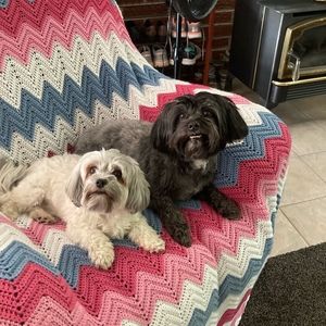 Meet your Posher, Roberta